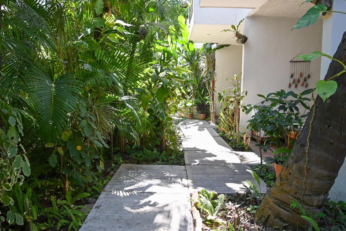 Hotel Palmeras Bucerías Eksteriør billede