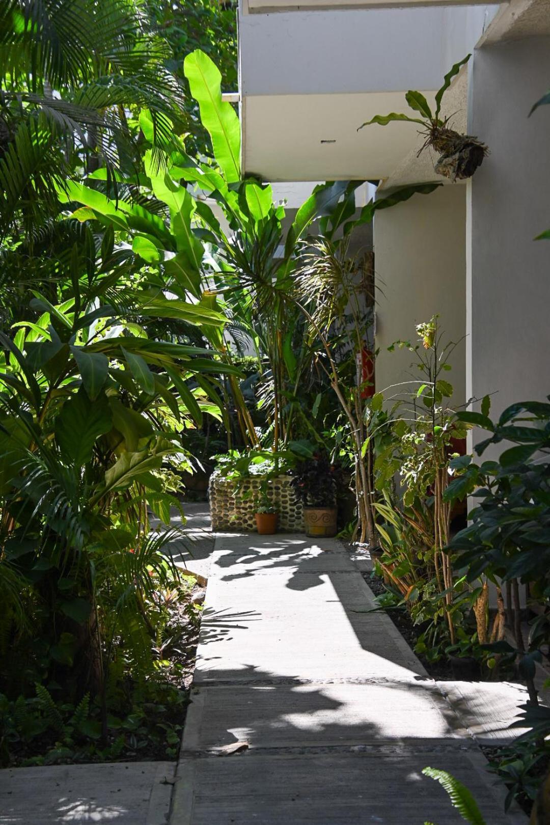 Hotel Palmeras Bucerías Eksteriør billede