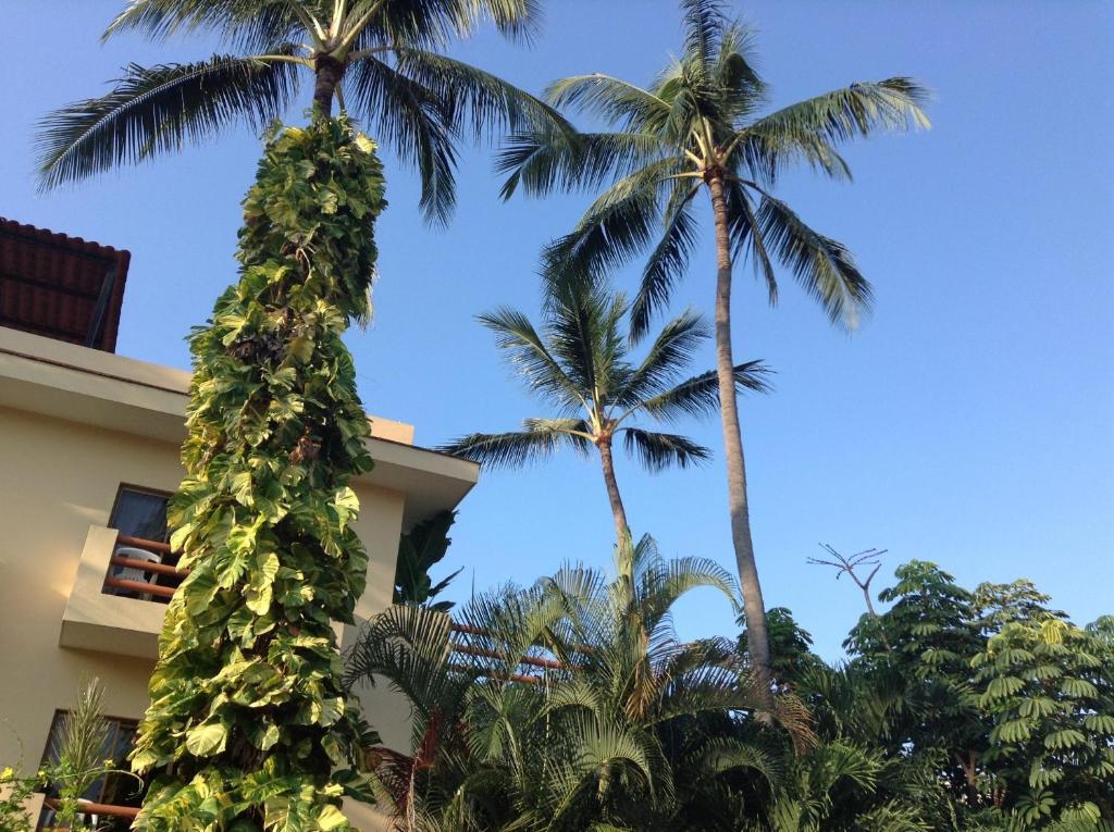 Hotel Palmeras Bucerías Eksteriør billede
